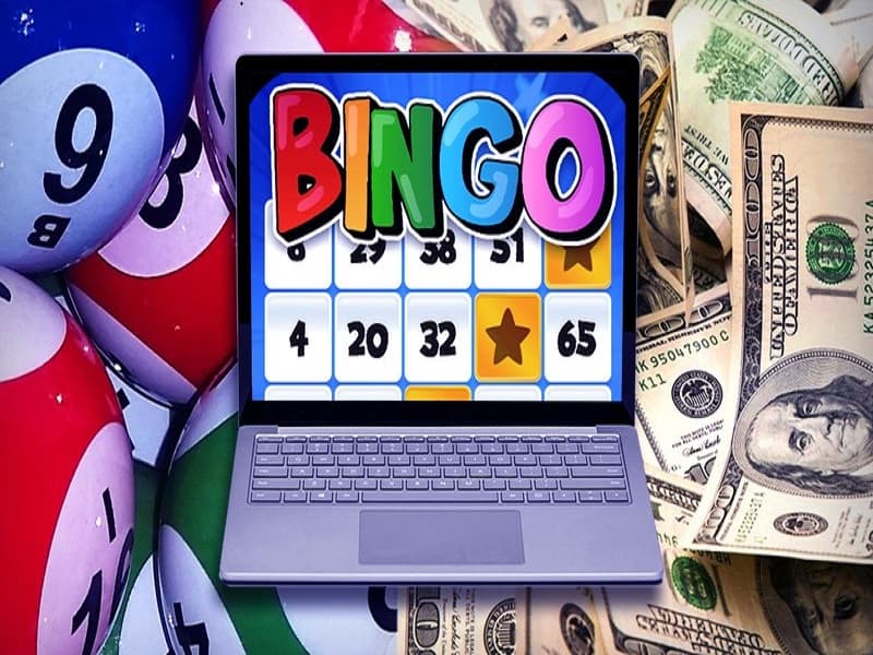 bingo là gì